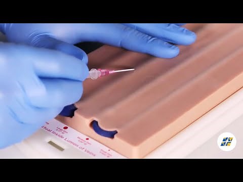 VATA | Advanced Venipuncture Training Aid