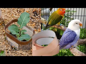 The Clever Way Smart Gardeners Eliminate Slugs 8 Tips