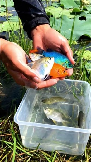 Magical Bug Hunting A Playful Adventure in Wild Nature #asmr #insects #calmwhale #wildlife #shorts