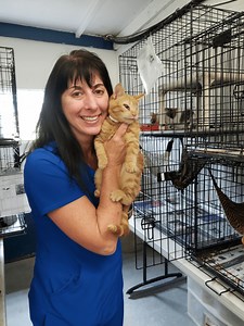 Applications Open: 2024 Summer Fellowships for Veterinary Students »  Shelter Medicine Program » College of Veterinary Medicine » University of Florida