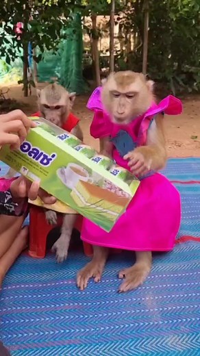 3.4K views · 76 reactions | New cake is gifts  for YaYa | YaYa Family | Facebook