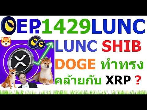 [Ep.1429] LUNC SHIB Dogecoin ทำทรงคล้ายกับ XRP หรือไม่