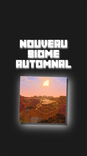 An AUTUMN BIOME in MINECRAFT?! 😯