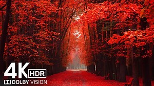 【4K HDR】最精彩的4K视频超高清120fps杜比视界#HDRVIDEO|极致画质|杜比视界|电视屏幕测试|手机屏幕测试 |