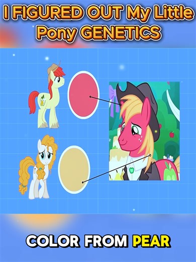 Exploring My Little Pony Genetics and Traits