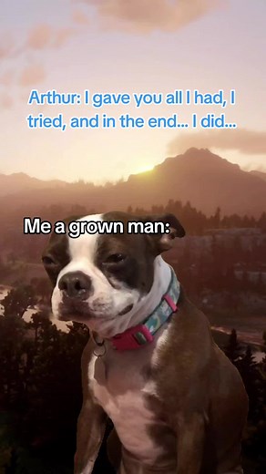Arthur Morgan Memes: All I Had, I Tried...
