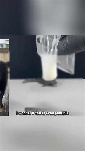 Exploring the Lab Germ Fish Experiment