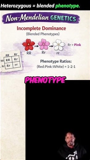 Incomplete Dominance: Blended Traits Explained! #shorts