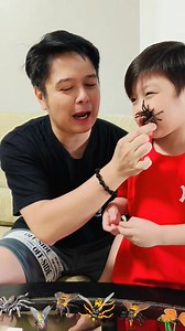 50K views · 171 reactions | Ipis ‼️ Langaw ‼️ Insect Collections namin ni  Zyph | Yexel | Facebook