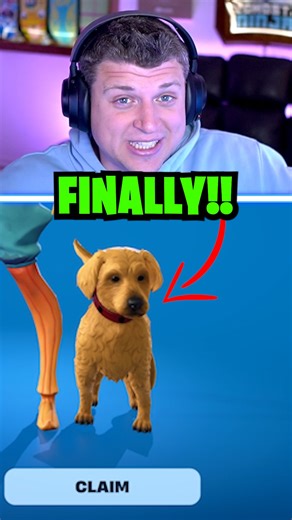 PETS Now Added To Fortnite! 🤯 #fortnite #gaming | GhostNinja