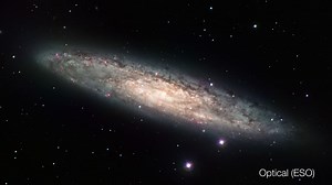 NASA Scientific Visualization Studio | Barred Galaxy (NGC 253) in Multiple Wavelengths