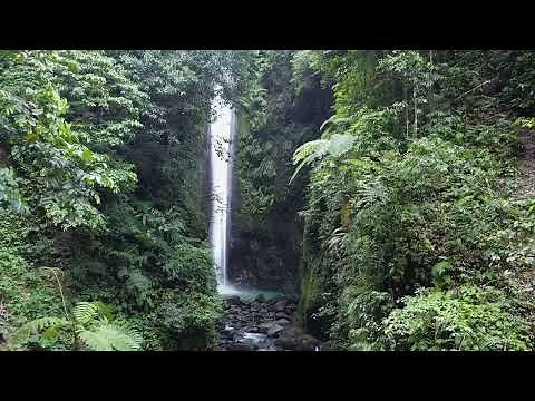 Fiji's Natural Wonders: Top 10 Waterfalls for Nature Enthusiasts and Hikers