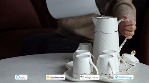 meross Outdoor Smart Plug Compatible with Apple HomeKit, Siri, Alexa, Google Assistant and SmartThings, Waterproof Outdoor Outlet, Remote & Voice Control, Timer, FCC and ETL Certified