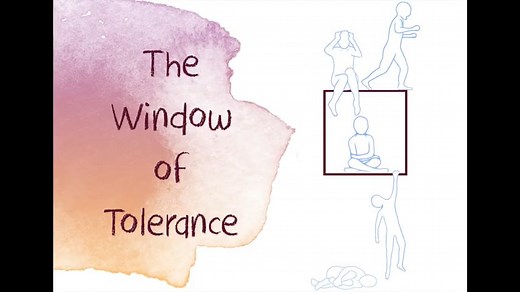The Window of Tolerance Animation by Beacon House-(480p) 08112021