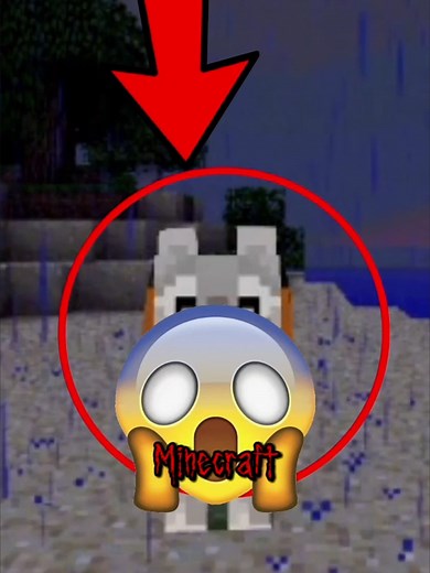 Os pets de Minecreft #viraliza #misterios #games #sejagamer #minecraft