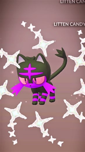 .𖥔 ݁ ˖Shiny Trainer ✩₊˚⋆⁺₊ on Instagram: "Shiny Litten Hatch In Pokemon Go #pokemon #shinypokemon #pokemongo #pokémongo #gamer gaming game games reels reelvideo mobilegamer lukario"