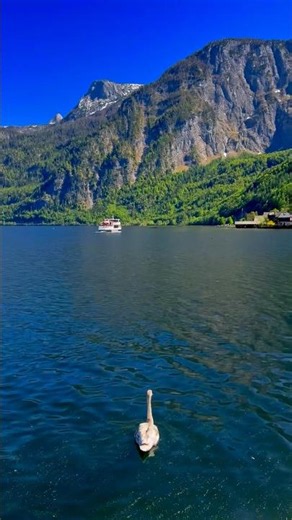 Norway’s Nature is Next Level 😍🇳🇴#4k #nature #travel #hdr #mountains #shorts #beautiful #cinema