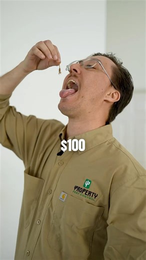 No compromises. Just results. Safe for your family. Deadly for pests. That’s how it should be #home