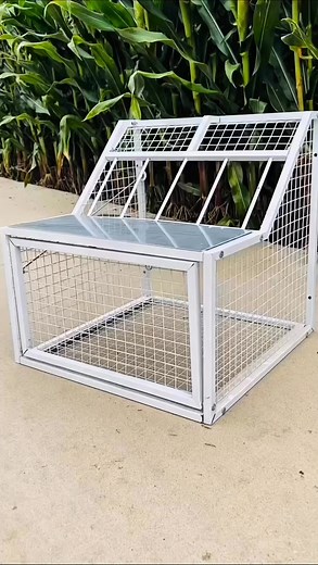 736K views · 5.9K reactions | Complete trapdoor for racing pigeon #reelsvideoシ #racingpigeons | Amazing Loft | Facebook