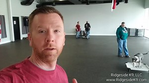 4.5K views · 68 reactions | Just another day! Hustle hard. ‍了Need...