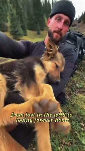 Backpacker Rescues Lost Dog from the Mountain and Adopts Him ❤️#shorts