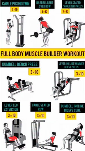 Muscle building full body | Azra Fitness