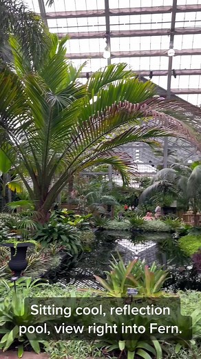 Exploring the Wonders of Palm House at Garfield Park