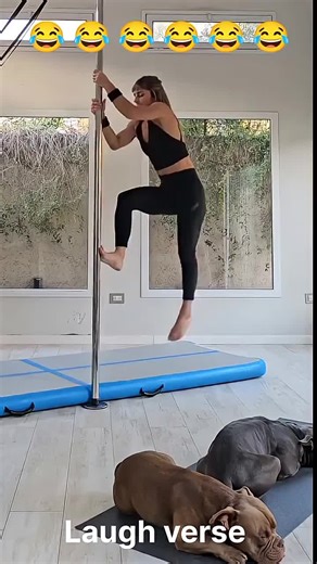 Exploring the Magic of Tech Innovations on TikTok