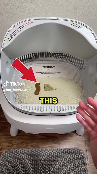 Automatic Cleaning Device: Innovative Science Experiment