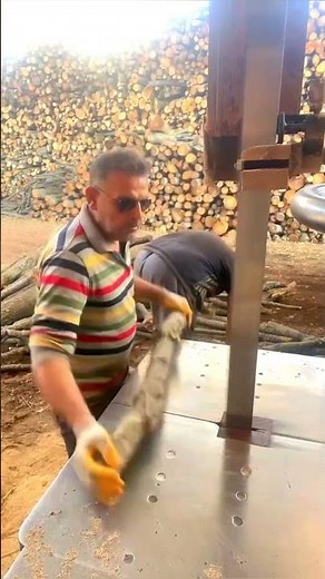 Firewood Sawmill #wood #sawmill