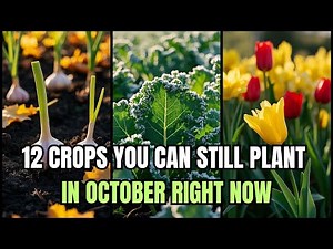 🌿 12 Crops You Can Still Plant in October RIGHT NOW | Fall Gardening Secrets for Every Grower