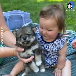 173K views · 5.4K reactions | So squuuueeezable  | Huskymag | Facebook