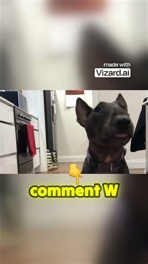 My Dog Chooses My Ranked Kit in Roblox Bed Wars!