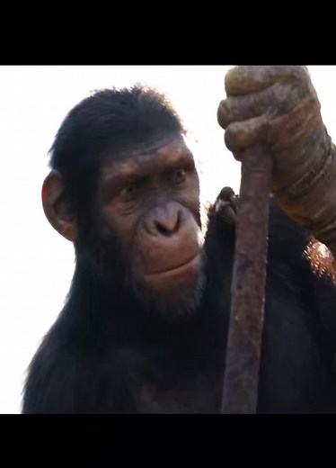 Exploring King Kong: Insights into the Classic Film