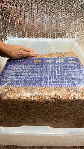 Coco mulch #coconuthusk | Foraging Fosters