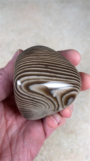 This spring, I found the best banded chert of the year and I finally got it all tumbled. I love it. | Michigan Rocks