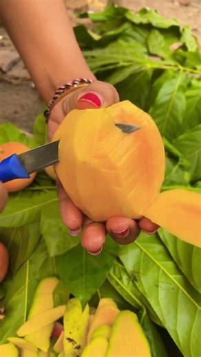 Peel Mango #mango