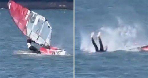 BIZARNO Sudario se s kitom!