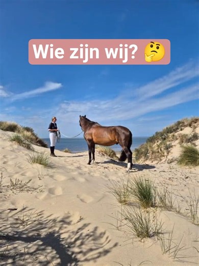 Wie zijn wij 🤔 #paradressage #equestrian #dressage #horseriding #friends#prehorse #purarazaespañola