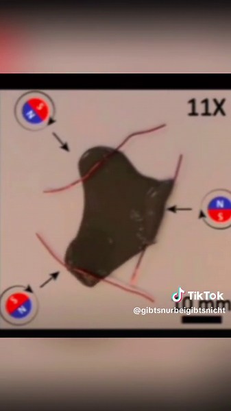 #black #goo the #real #programming #magnetic #leak #fy #fyp #viral