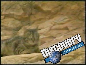 tanda comercial Discovery channel septiembre 2002