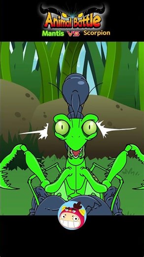 Mantis vs Scorpion #animalbattle #animals #forkids #redmon