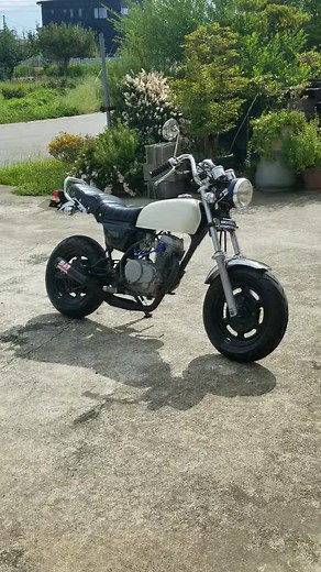 エイプ仕様の紹介とおすすめポイント