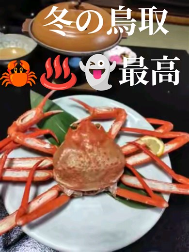 #かに#冬 #鳥取#温泉旅館 #妖怪 📸spot皆生温泉・旅館三井・米子駅・妖怪列車・水木しげる記念館・境港カヌレ・大山