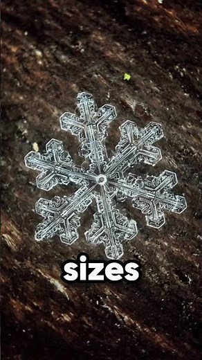 What Snowflakes Look Like Up Close ❄️ (‪@mashafotoblog‬)