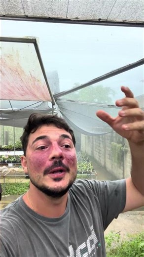 Can orchids get wet in the rain? Yes! Rain is a blessing, just be careful with the substrate!