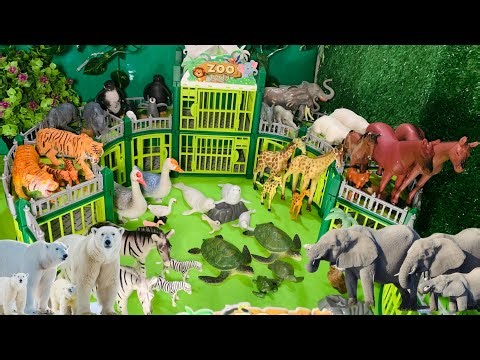 Amazing Zoo Animal Family | Toy Zoo Animals | Animal Toys For Kids | polar Bear | Elephants