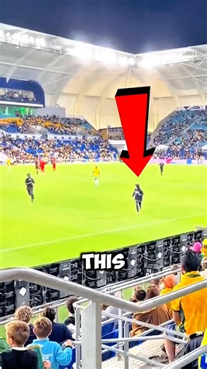 This Stadium Stunt Ended Badly 🔥