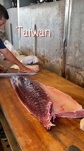 Incredible! Watch Taiwan’s Largest Bluefin Tuna Take Center Stage! 🐟💰⚡ #TunaMadness #MarketVibes | 94愛七桃