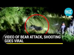 Viral video: Huge bear attacks forest officials, shot dead in self-defence | Uttarakhand